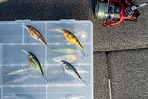 Berkley Flicker Shad Freshwater Crankbait - Firetail Chrome Candy, 2 3/4 in