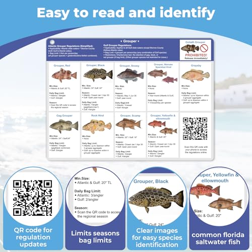 Florida Saltwater Fishing Guide Cards - Waterproof Quick Reference Set