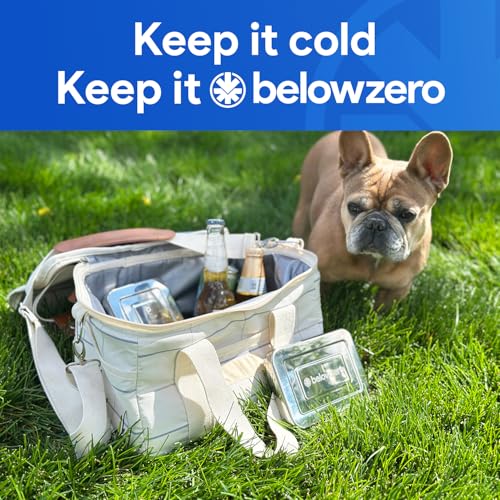 Below Zero 3-Pack Stainless Steel Ice Pack for Lunch Boxes & Coolers