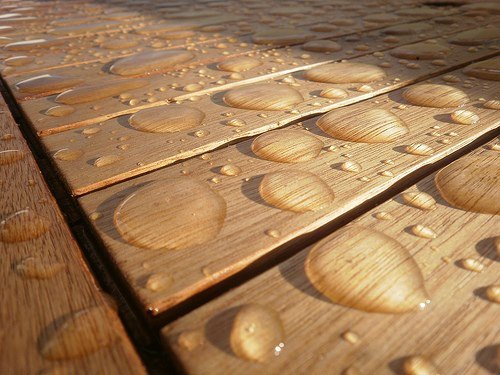 Seal It Green Xtreme BAMBOO – Plant Based, Non-Toxic Wood Sealer. Helps Protect All Wood Types from Water Damage, Cupping, Cracking and The Sun. Deep Penetration Formula Helps Protect Wood For 15+ Yrs