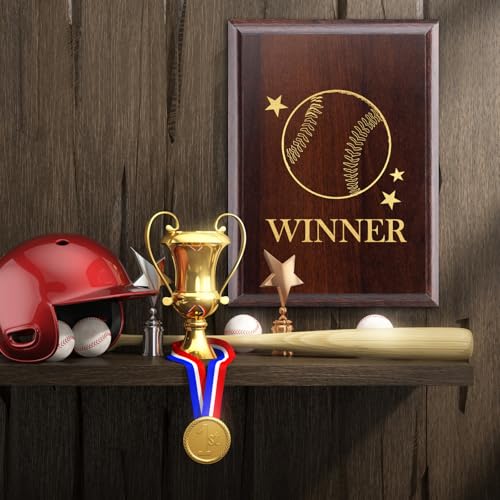 Personalized Engraved Wooden Award Plaques - 9x12 Inch Walnut, Set of 4