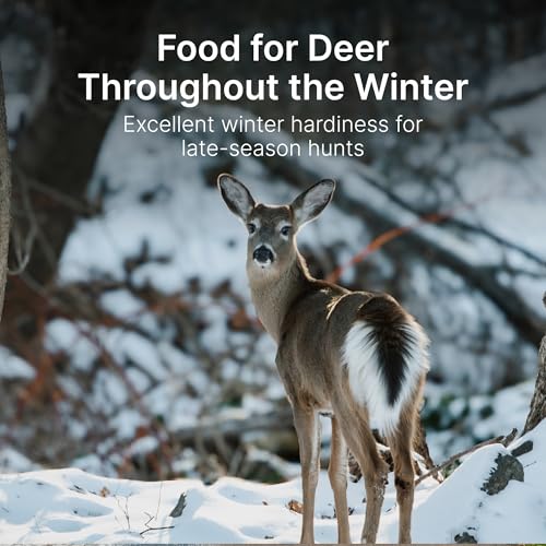 No Till Alfalfa Food Plot Seeds for Deer - 1/4 Acre (5 lbs) - Perennial, Heavy Browsing Tolerance