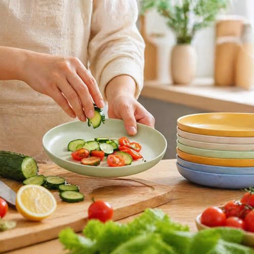 12 Pack Wheat Straw Dinner Plates 9 Inch BPA-Free Unbreakable Eco-Friendly Kitchenware