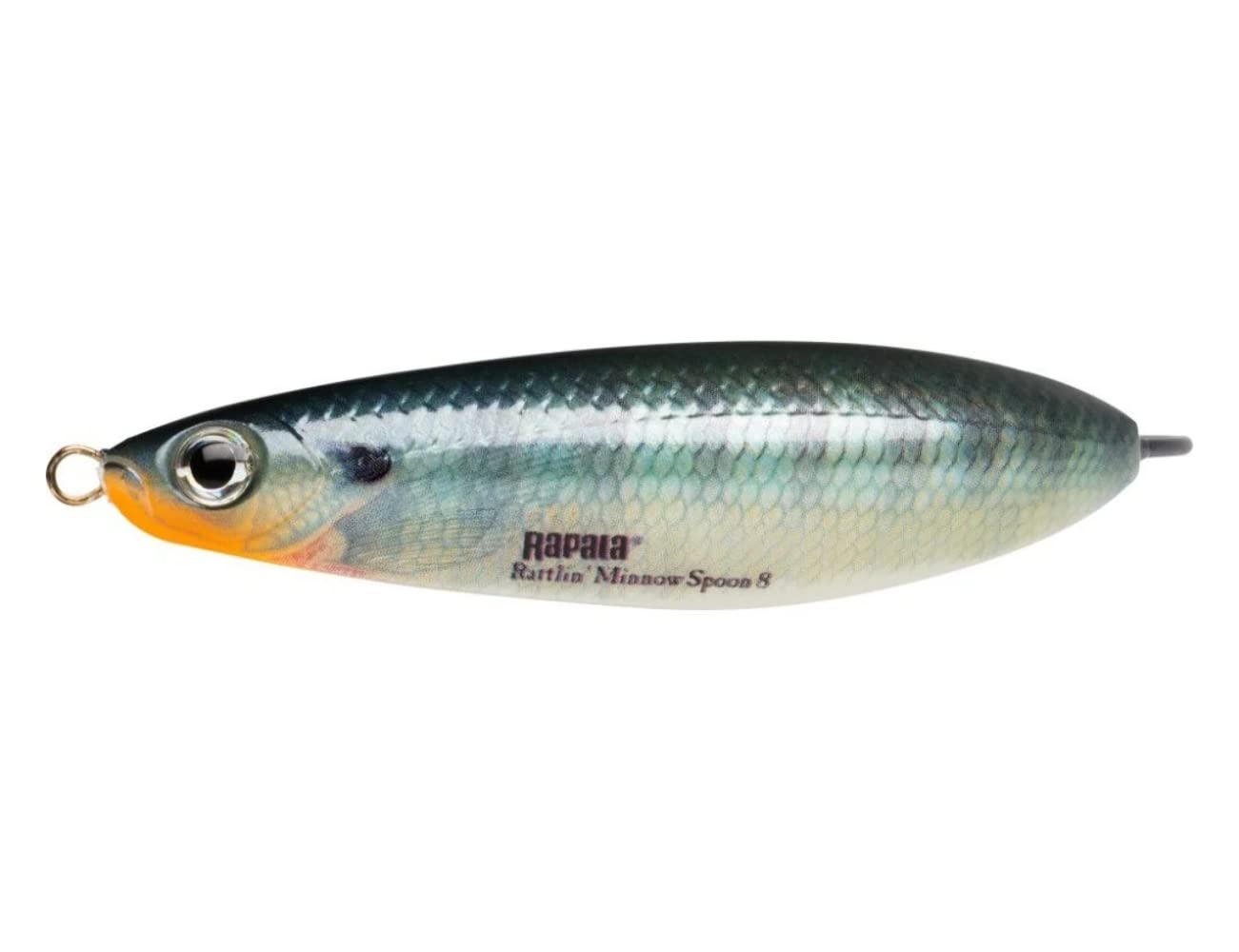 Rapala Rattlin' Minnow Spoon-Loose Lure - Freshwater Fishing Equipment - Variable Swimming Depth - Size 8 cm/16 g - Made in Estonia Metallic Blue Tiger Adult Unisex, Standard