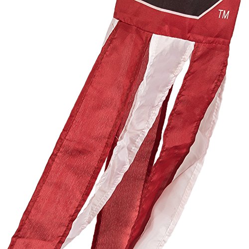 South Carolina Gamecocks Windsock with Team Colored Streamers
