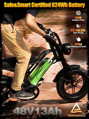 Electric Fat Bike for Adults - 1500W Motor, 60 Miles Range, Black