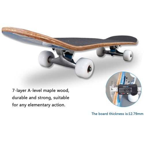 Sumeber Standard Skateboards for Beginners Kids Boys Girls Youths Adults Starter-Complete Skate Boards 31''x 8'' Maple Wood Skateboard (All Black)
