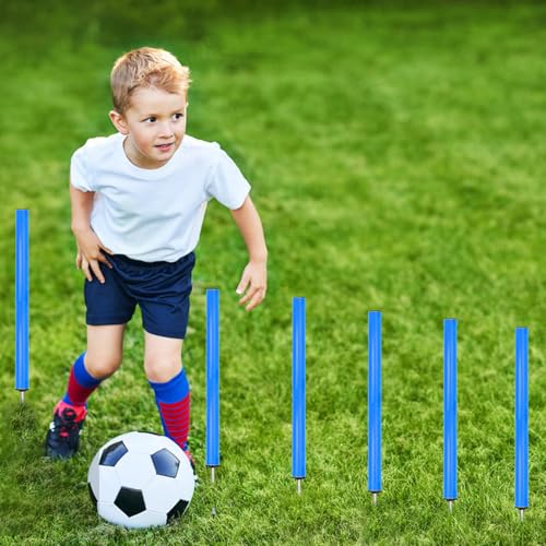 Agility Ladder Training Set - 20ft Ladder, 6 Poles, 8 Cones