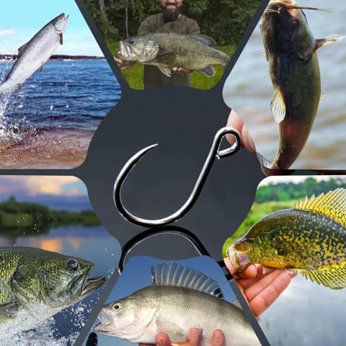 Inline Single Fishing Hooks - 25 Pcs, Size 8#