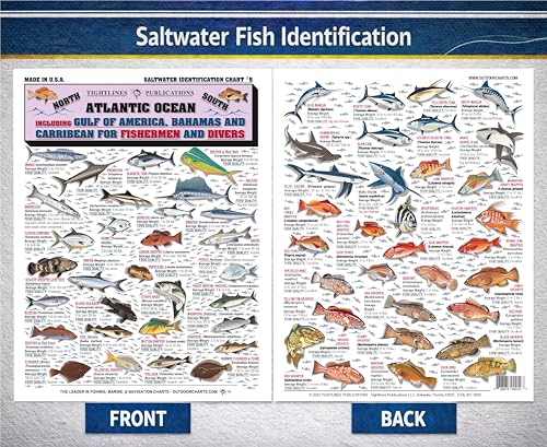 Waterproof Saltwater Fish Identification Chart - 50+ Species