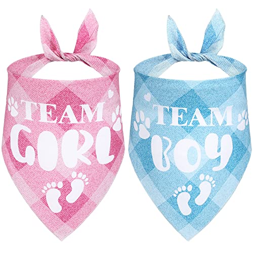 2 Pack Gender Reveal Dog Bandanas - Pink & Blue