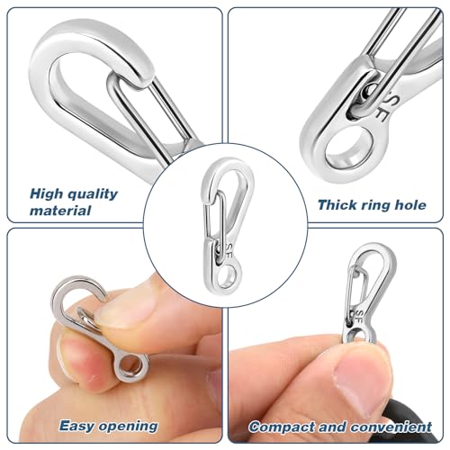 12 Pcs Mini Carabiner Clips - Stainless Steel Keychain Hooks