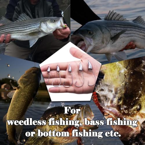Bullet Jig Heads - 10Pcs 1/16 oz Weighted EWG Hooks for Texas Rig Bass