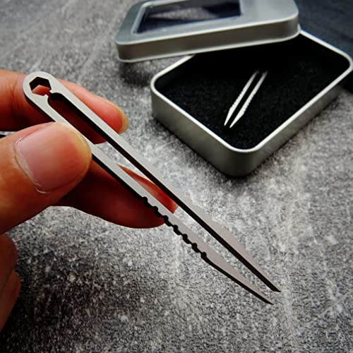 Mini Titanium Alloy Tweezers Set - 2pcs Portable Silver
