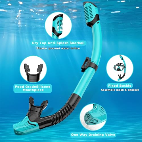 Jwintee Adult Snorkeling Set Gray+Green Dry Snorkel Mask Fins Travel Gear