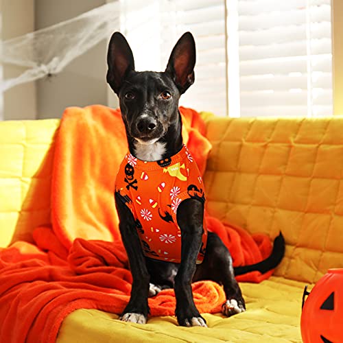Halloween Dog Costume Vest - 4 Styles for Small Dogs, L/ 7-9lbs
