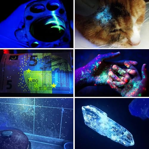 LBJD Rechargeable UV Black Light Flashlight 365nm for Pet Urine Detection - Black & Purple