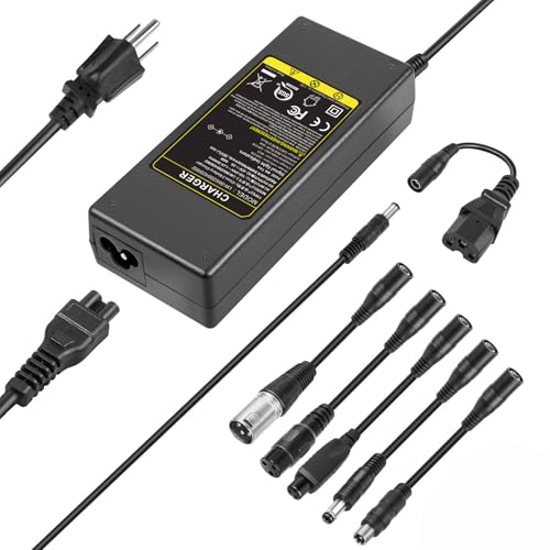 42V 2A Scooter Charger for 36V Li-ion Battery Chargers