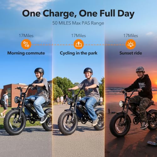 Electric Bike for Kids & Teens - Qlife Spark D1 1500W, 16" Fat Tire - Black