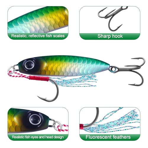6Pcs Saltwater Fishing Lures with Box, Ocean Salt Water Spoon