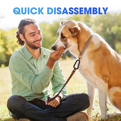 Heavy Duty Carabiner Clip - 3-Inch Steel Spring Hook for Hiking, Camping, Dog Leash & Keychain
