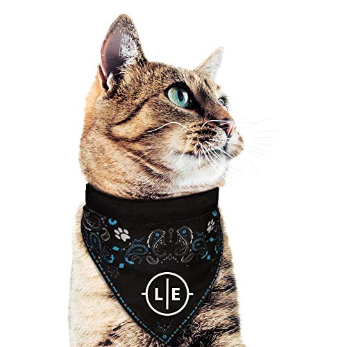 Boston Bruins Pet Bandana - Soft Cotton Blend, Small
