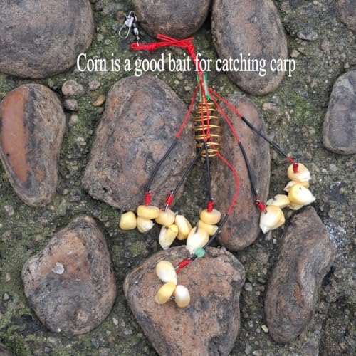 Carp Fishing Hooks with Bait Lure - 8# Hook, 4 Packs