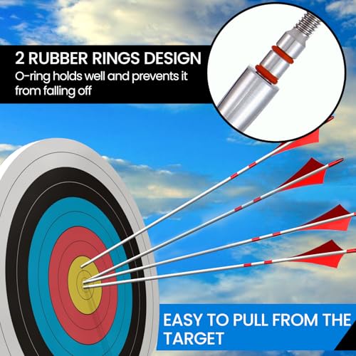 12pcs Archery Field Points - 100 to 300 Grain Screw-in Tips