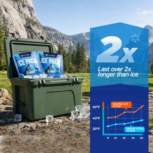 RIDGECOOL 4-Pack Large Reusable Ice Packs, 600g Each | 9.8 x 8.6 in, Leakproof & BPA-Free for Coolers