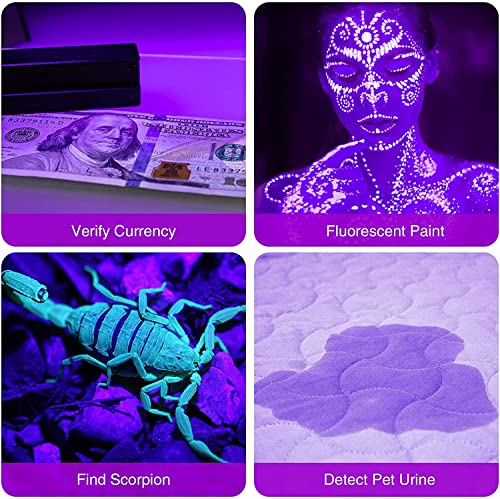 UV Flashlight - 12 LED 395nm Handheld Black Light - Silver