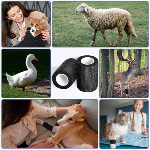 Oleitodh 60 Pack 3in x 5yd Black Self-Adherent Bandage Wrap (1 Color) 60 rolls