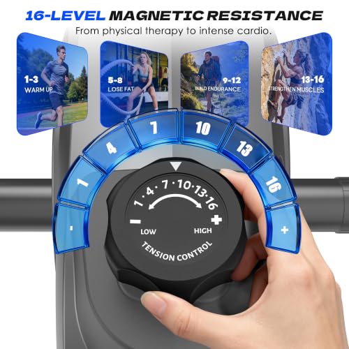 Recumbent Exercise Bike with Arm Exercise - 400LB Magnetic Resistance, Grey