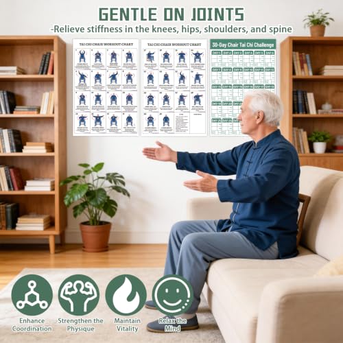 Tai Chi Chair Workout Chart for Beginners - 2 Laminated Posters