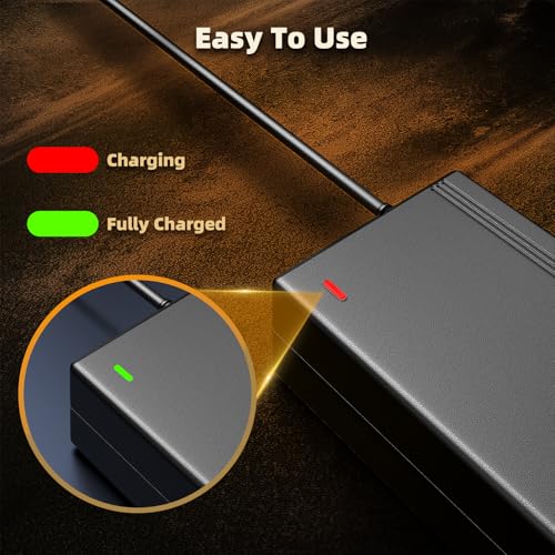 42V Hoverboard Charger with 5-in-1 Plugs - Small
