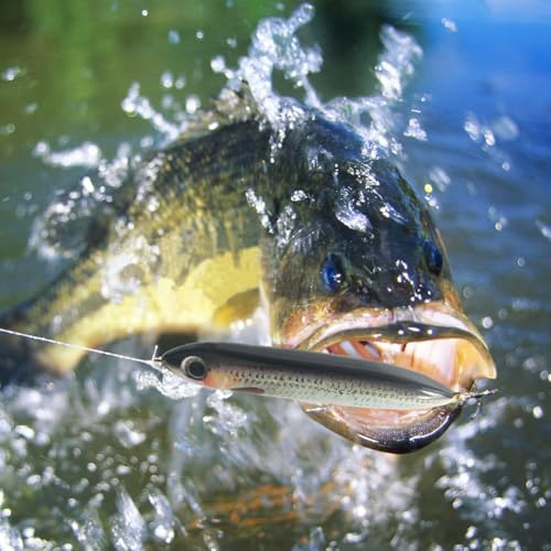 Catfish Rattling Line Float Lure - Unpainted Blank 4 Inch (6-Pack)