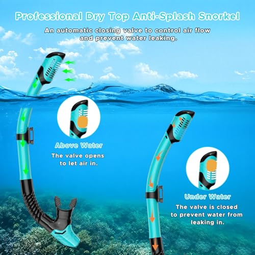 Jwintee Adult Snorkeling Set Gray+Green Dry Snorkel Mask Fins Travel Gear