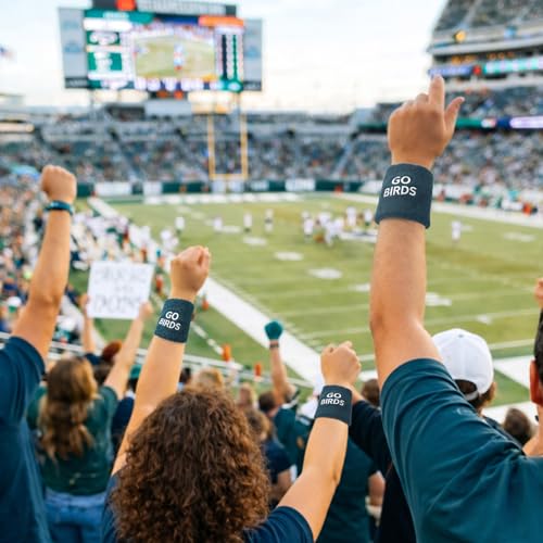 Football Arm Bands - Go Birds Wristbands for Fans