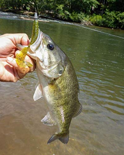 Curly-Tail Swim-Bait Fishing Lure - Green Pumpkin / 2"