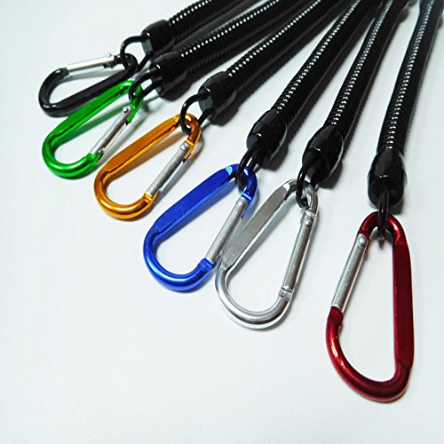 Retractable Coil Keychain Holder with Carabiner - Pack of 6