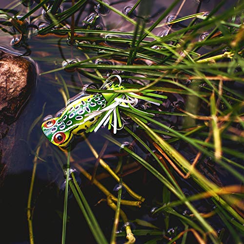 Topwater Bass Fishing Lure - Hula Popper 2 in (3/8 oz) Leopard Frog