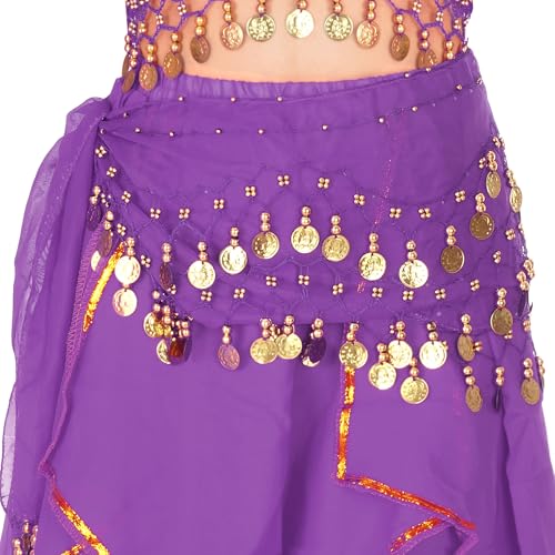 Belly Dance Hip Scarf with Sequins Coins - Purple