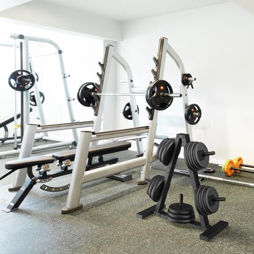 Weight Plate Rack - Space-Saving Storage Stand for 1-Inch Plates, Holds 300 lbs