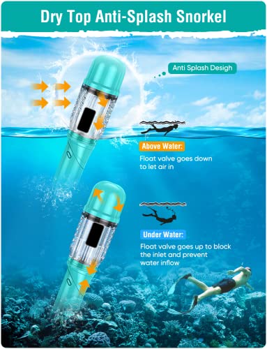 Snorkeling Gear Set for Adults - Anti-Fog Mask & Dry Top Snorkel - Z-Black/Green Transparent