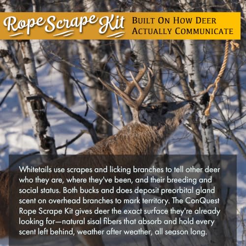 Conquest Scents EverCalm Deer Herd Scent Kit with Rope Scrape, 2.5 oz