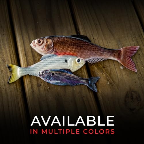 Panorama Soft Plastic Fishing Lure - Live Shad 5.0" (3/pk)