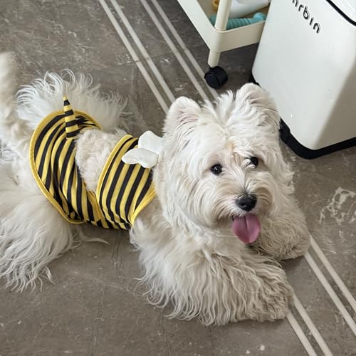 Funny Dog Swimsuit - Cooling Summer Bikini for Small Dogs - Yellow Bee, X-Small