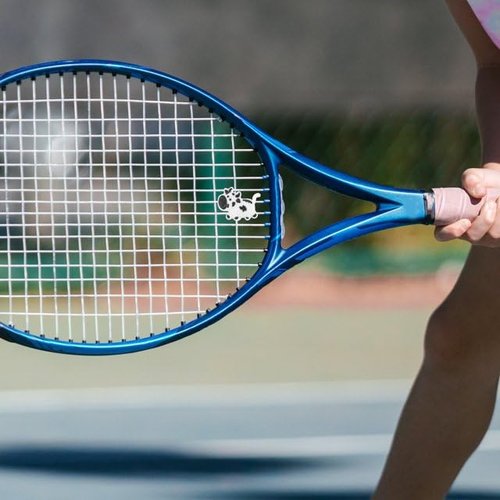 Jinshining White Cow Cute Animal Shapes Tennis Racket Vibration Dampener Soft Silicon Racket Dampener Cartoon Shape Tennis Racquet Shock Absorbers Tennis Racket for Racquetball