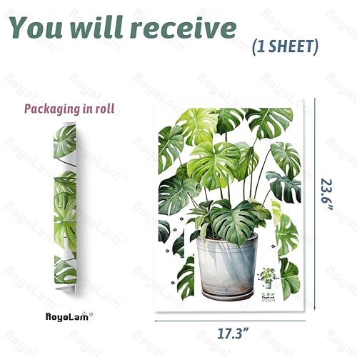 Monstera Wall Stickers for Living Room Potted Plants Tropic Leaves Wall Decal Peel and Stick Wall Art Home Decor Decoration for Bedroom Bathroom Classroom Library Nursery