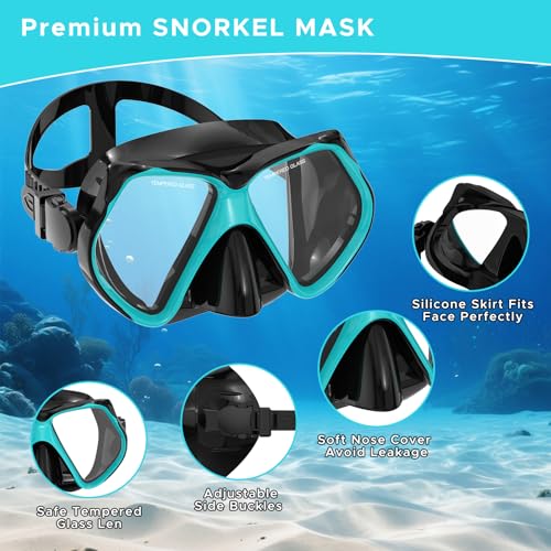 Jwintee Adult Snorkeling Set Gray+Green Dry Snorkel Mask Fins Travel Gear