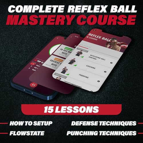MMA Boxing Reflex Ball Set with Punch Counter App - Speed Training Kit